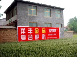 石阡如何让墙体广告展现最大化效果